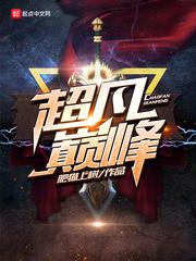 在忍界做游戏是什么