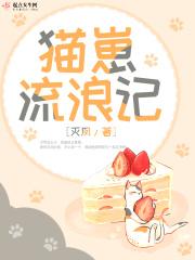 流浪猫幼崽