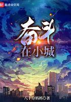 奋斗在小城TXT