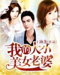我的大小美女老婆电子书