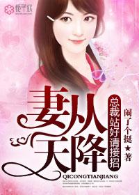 妻从天降夫人不好惹