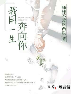 歌词我用一辈子去追逐