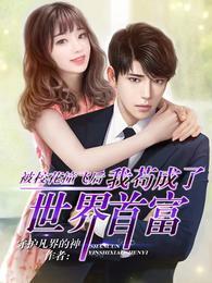 有本主角叫陈凡豪婿